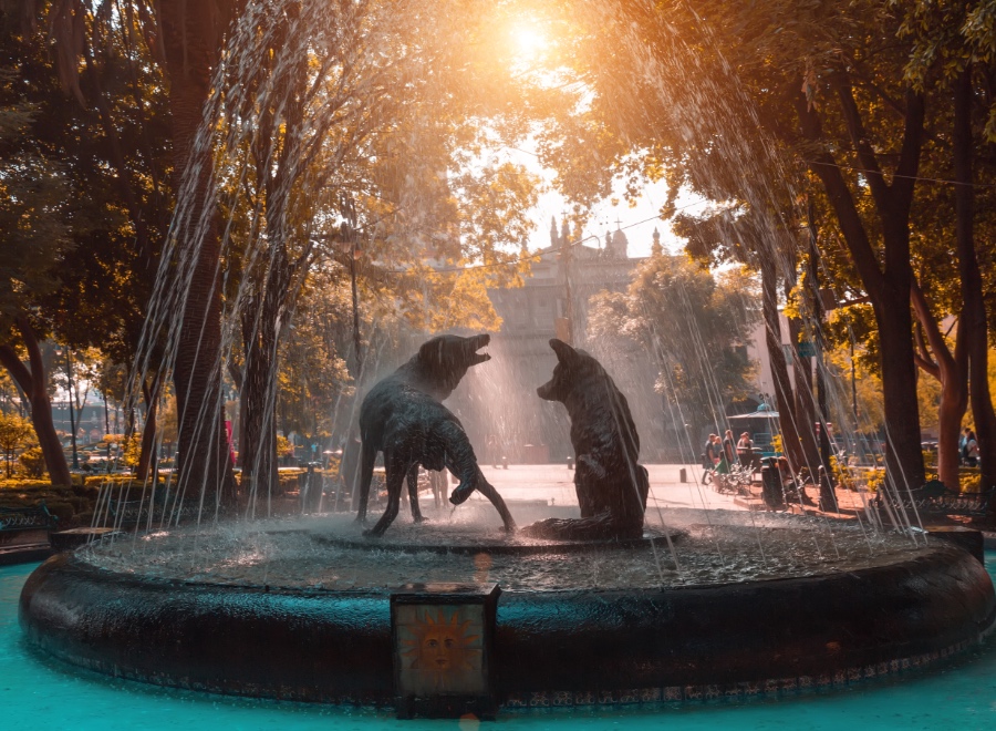 coyoacan